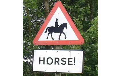 Horse! Car Game
