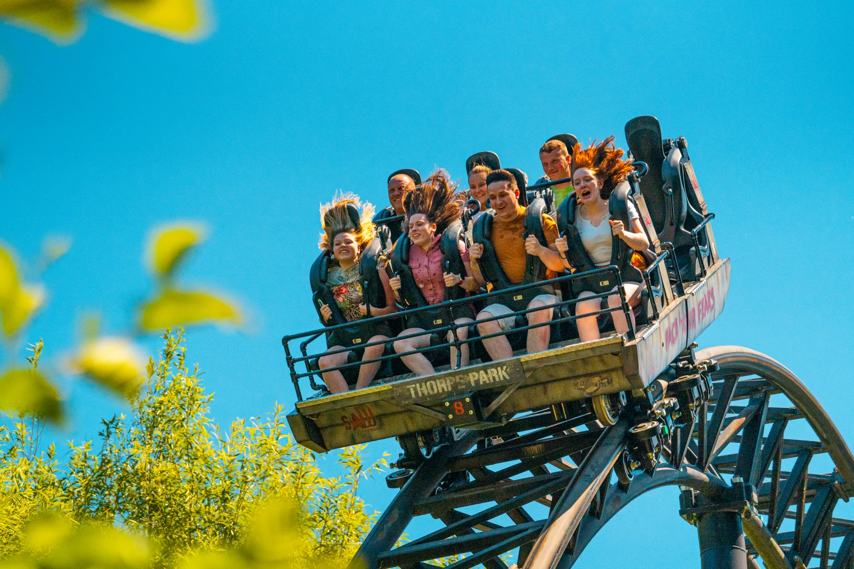 Saw The Ride