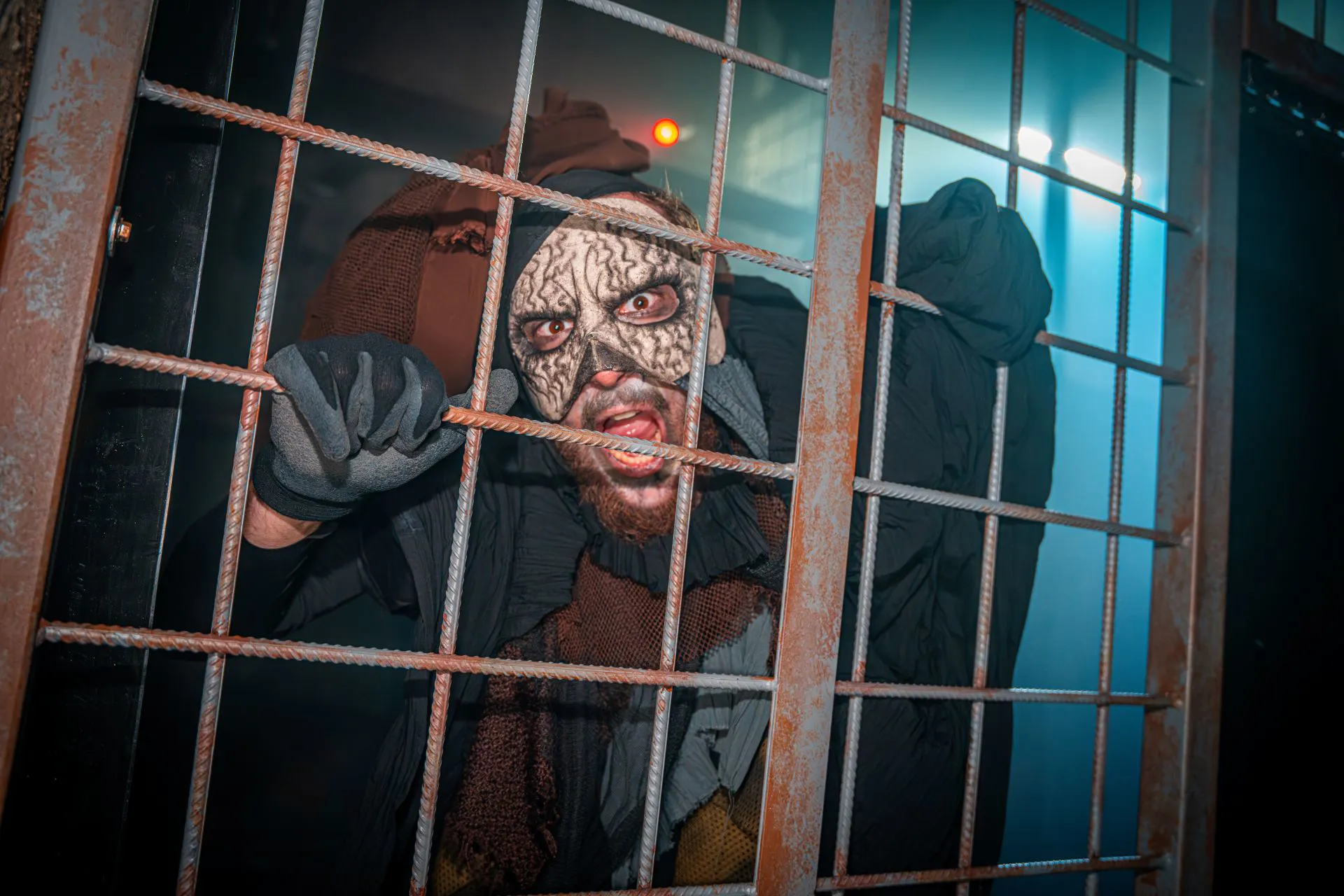 FRIGHT NIGHTS 24, JS 45